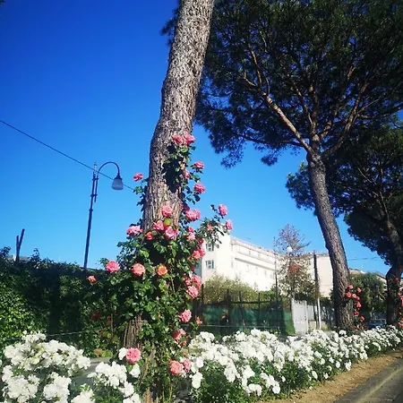 別荘 Skylight Sorrento *