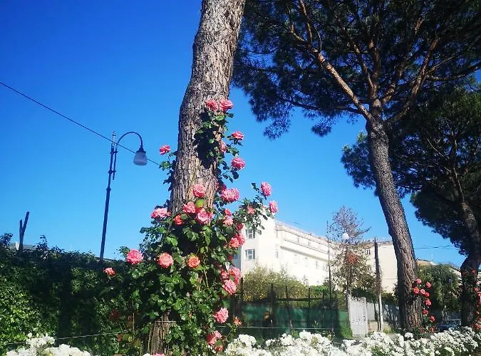 Casa vacanze Skylight Sorrento *